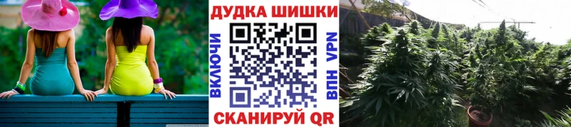 Бошки марихуана сатива купить закладку Ладушкин